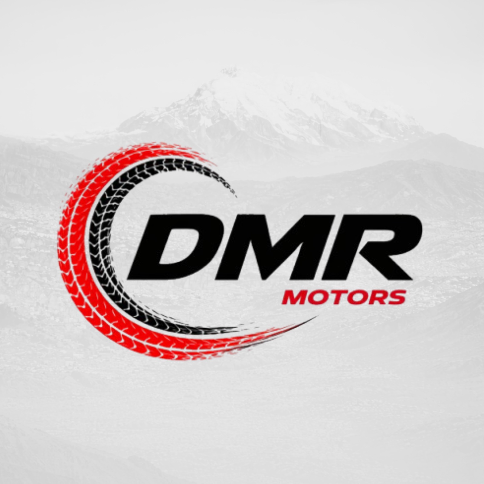 DMR MOTORS