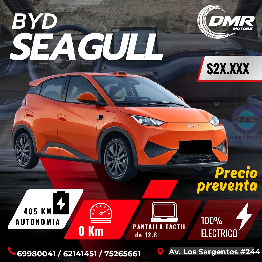 BYD Seagull